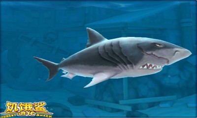 饥饿鲨进化怎么达到500000分