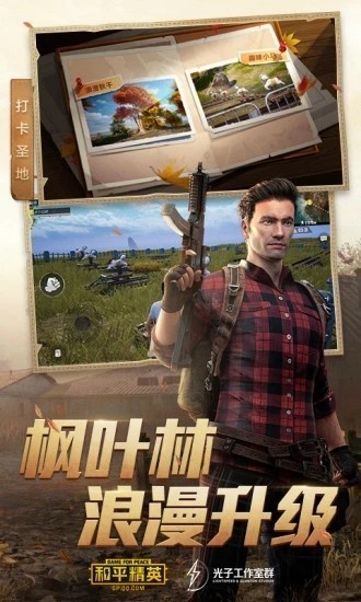 和平精英大哥辅助
