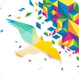 一个奇鸽软件一个奇鸽app 安卓版v1.6.8最新版