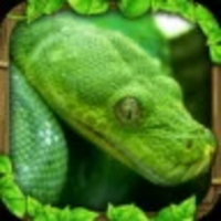 蟒蛇模拟器手机版下载v5.6安卓版