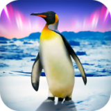 企鹅模拟器 安卓版v1.0