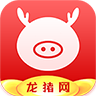 转发文章挣钱的app_龙猪网app下载安装