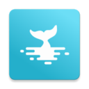 鲸视频 安卓版v1.5.1