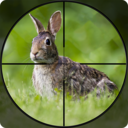 兔子狩猎模拟器 安卓版v1.2
