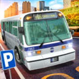 公交车驾校模拟器 安卓版v1.0