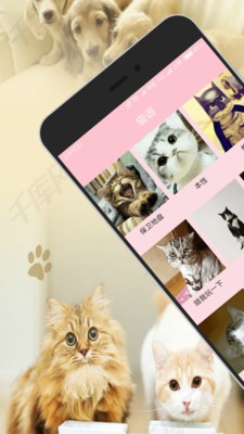 狗语猫语翻译器 安卓版v3.3.0