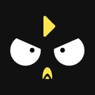 笨鸟数据appv1.0.0 官方版