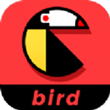 鸟窝视频 安卓版v1.0