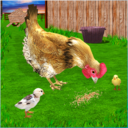 母鸡模拟器 安卓版v1.09