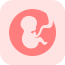 胎教孕期食谱