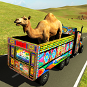 骆驼运输