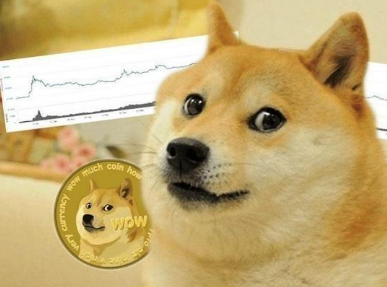 狗狗币是什么币种 狗狗币是哪个国家发行的